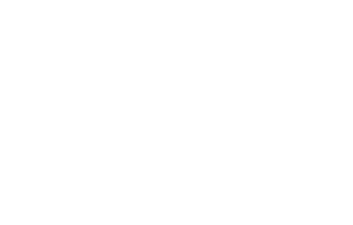 Edson Flores